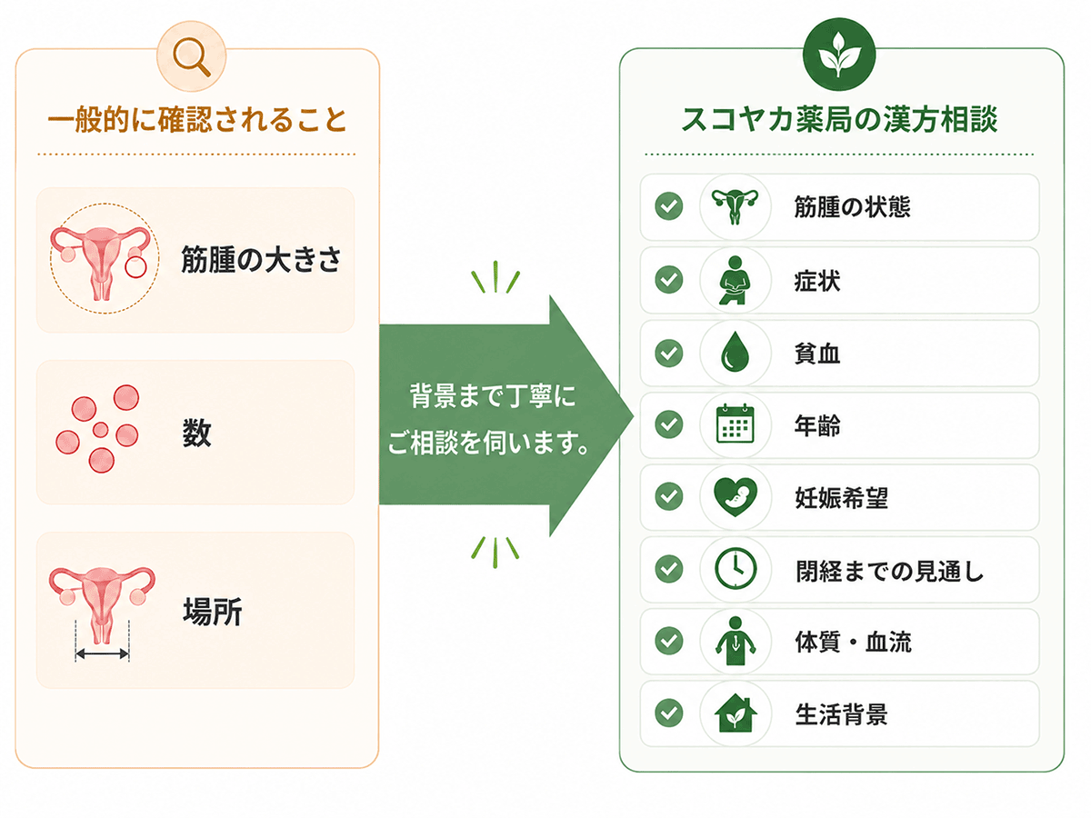 漢方相談では「筋腫だけ」ではなく背景も見ます